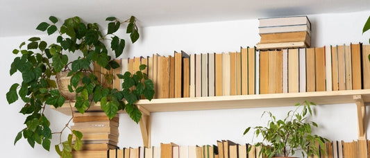 2025'te Popüler Olan Kitaplık Modelleri Hangileri? - Roomart